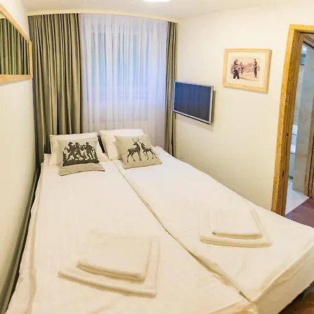 Sniezna Lapa * Zakopane