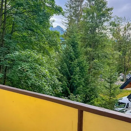 Sniezna Lapa Apartmán *