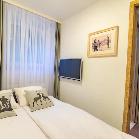 Sniezna Lapa Apartmán *