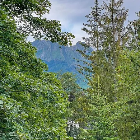 Apartmán Sniezna Lapa