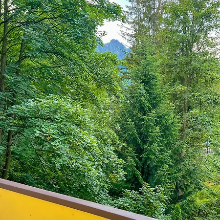 Apartment Sniezna Lapa Zakopane