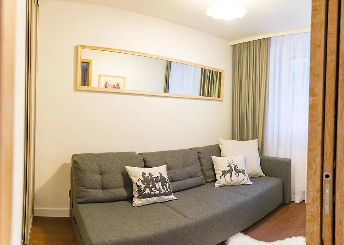 Sniezna Lapa זקופאנה