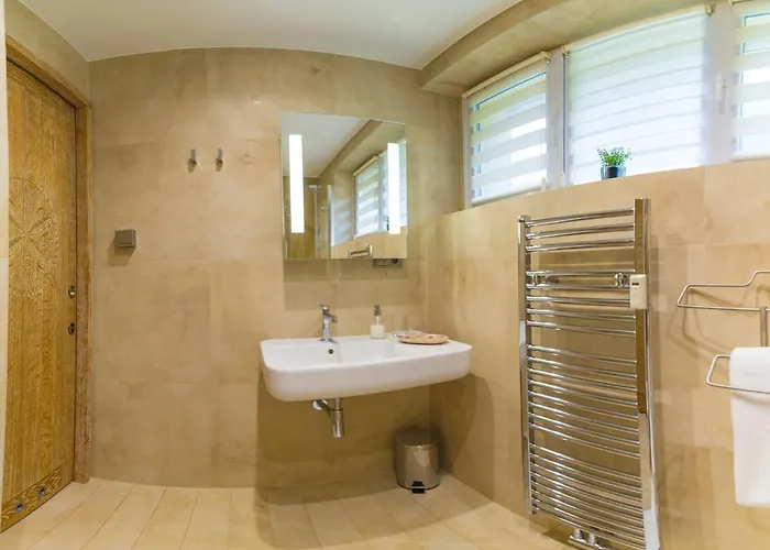 Sniezna Lapa זקופאנה