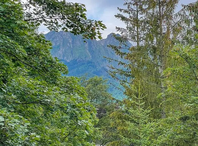 דירה Sniezna Lapa