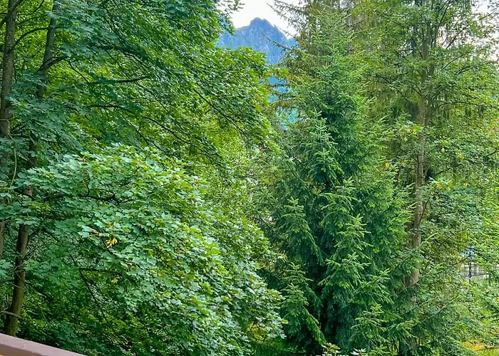 דירה Sniezna Lapa זקופאנה